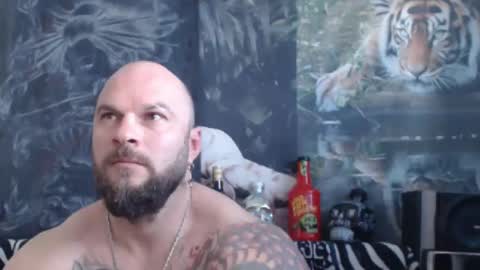 viking online show from 04/14/26, 06:19