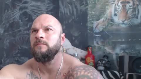 viking online show from 04/15/26, 10:33