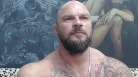 viking online show from 06/30/26, 06:20