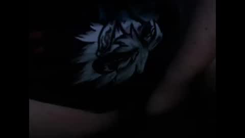 Snapshot of vikinggingerer chatting on 02/16/25, 02:32 vikinggingerer online show from 02/16/25, 02:32