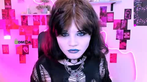 your little cat online show from 05/06/26, 08:41