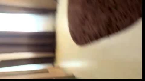viktoriya_kreyzi online show from 05/31/26, 03:41