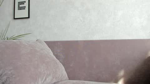 Vincent.  uncut 18cm online show from 09/10/25, 11:32