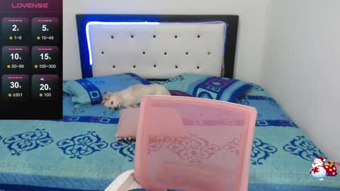 Violeta online show from 12/30/24, 10:21