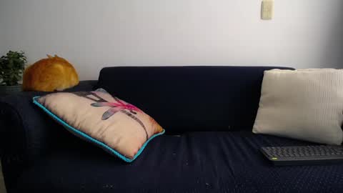 Violeta Gmez online show from 03/11/25, 08:53