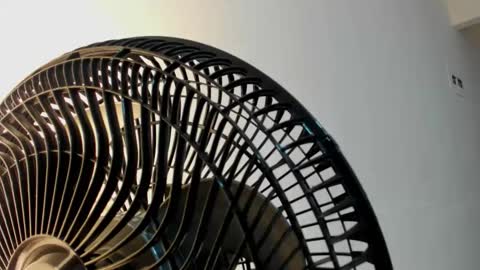 Violet Rose online show from 01/05/26, 08:12