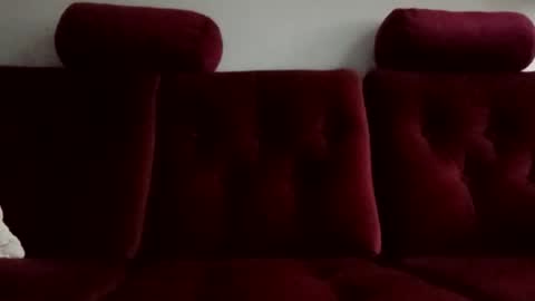 vip_90_daniele online show from 12/16/25, 09:03