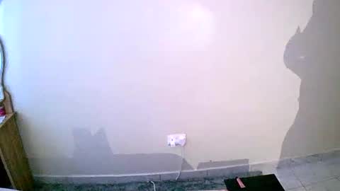 Snapshot of virtual_wifey chatting on 01/19/25, 01:22 Your Virtual Wife online show from 01/19/25, 01:22