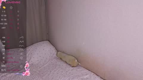 Snapshot of vitterrick chatting on 11/25/25, 04:07 vitterrick online show from 11/25/25, 04:07