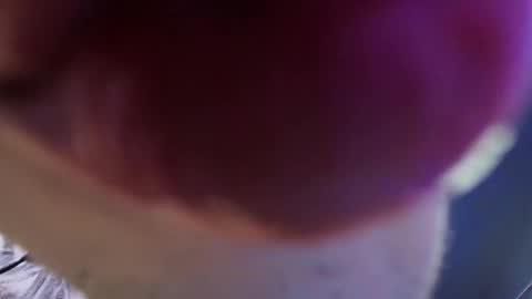    new acount online show from 05/29/26, 03:43