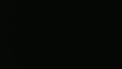 Vivian online show from 12/21/24, 11:13