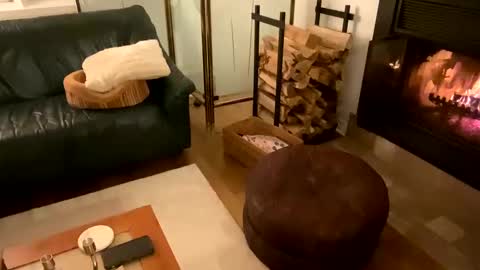 Snapshot of viviannexxx2022 chatting on 12/21/24, 11:56 Vivlove online show from 12/21/24, 11:56