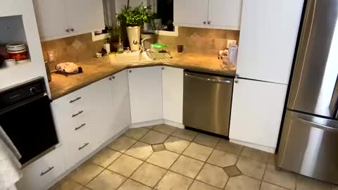 Snapshot of viviannexxx2022 chatting on 01/20/25, 11:35 Vivlove online show from 01/20/25, 11:35