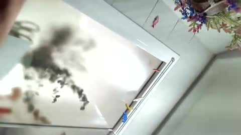 Viv online show from 12/06/24, 11:54