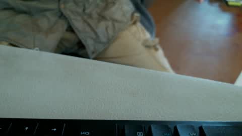 vnpg92 online show from 12/01/24, 07:47