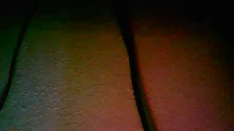 vondavigano online show from 11/16/25, 09:04