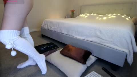 Sunshiny online show from 02/16/25, 07:49