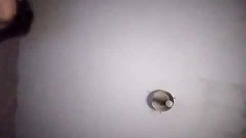 vujadetr online show from 09/20/25, 07:42