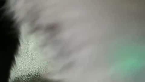 Daniel online show from 02/28/25, 07:56