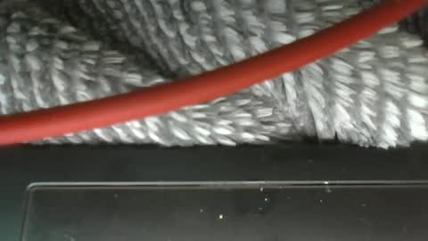 hung boy online show from 03/12/25, 03:57