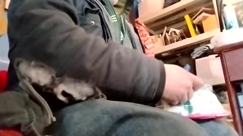 waffywaff77 online show from 01/12/25, 11:58