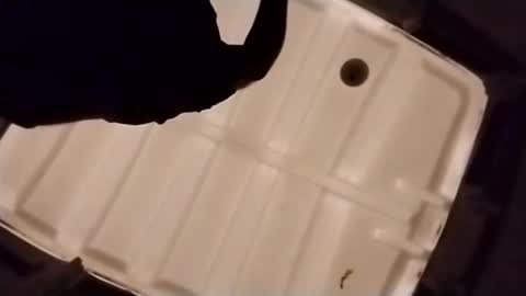 waffywaff77 online show from 12/04/25, 01:09