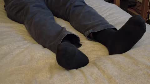 I love the ol in-n-out  online show from 01/15/26, 03:44