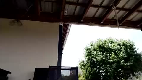 wasp75000 online show from 07/07/26, 10:08