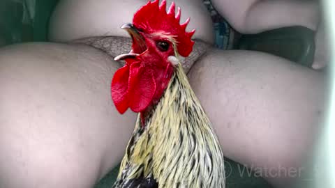 Snapshot of watcher_9 chatting on 11/09/25, 08:29 classified online show from 11/09/25, 08:29