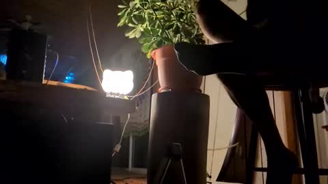 watershed111111 online show from 01/12/26, 09:03