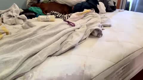 watershed111111 online show from 02/26/26, 06:40