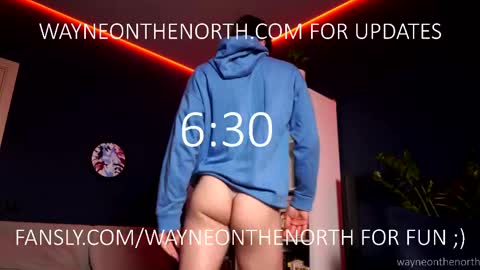waynenorth online show from 04/29/26, 02:21