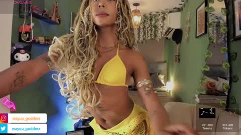 Wayuu Goddess  3 online show from 01/17/25, 08:00