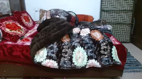 khushiwife kabirhubby kavyasexy gf online show from 12/23/24, 12:08