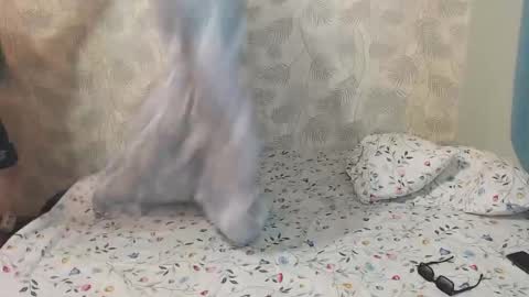 Lia and Artur online show from 12/22/25, 09:28