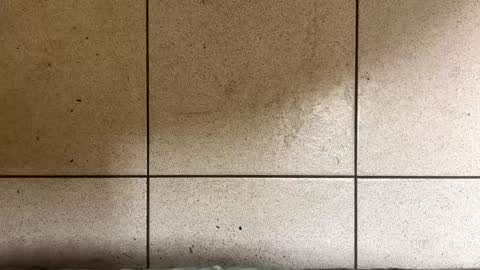 Snapshot of webchatter99 chatting on 01/02/25, 07:33 webchatter99 online show from 01/02/25, 07:33