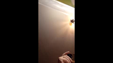 webiran online show from 03/02/26, 04:58