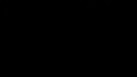 wellingtont online show from 12/20/25, 04:08