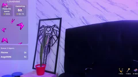 wen_gp online show from 07/09/26, 08:02