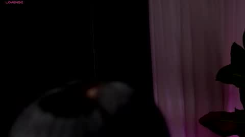 Wendy online show from 02/13/26, 09:55