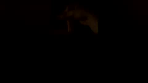 wesleyhamner online show from 08/06/26, 04:47