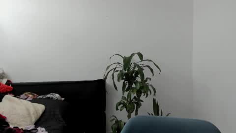 tatty online show from 09/17/25, 04:08