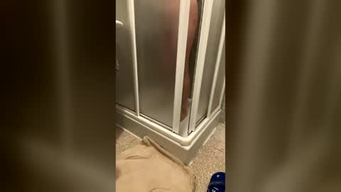 wet___pussy online show from 07/06/26, 09:39
