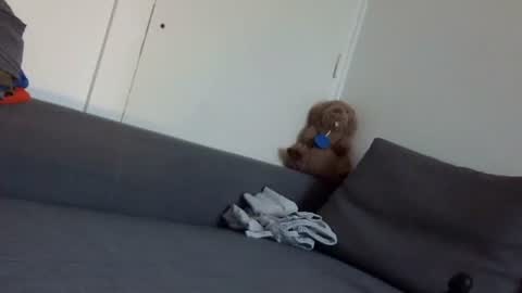 wet_pants2022 online show from 09/22/25, 07:10