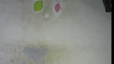 Bella online show from 02/06/26, 09:29