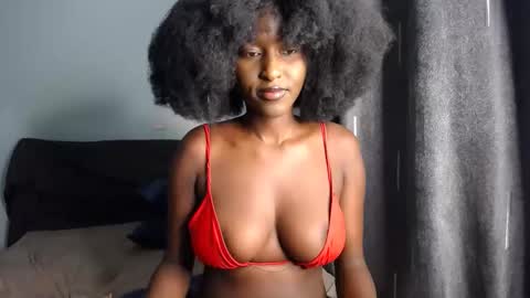 Macey online show from 11/11/25, 06:57