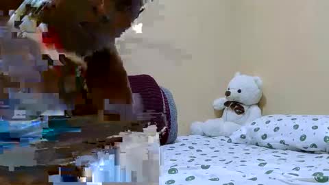 wetberry20 online show from 06/03/26, 06:35