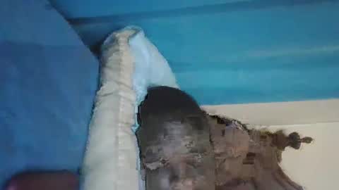 wetcock44 online show from 12/03/24, 03:41