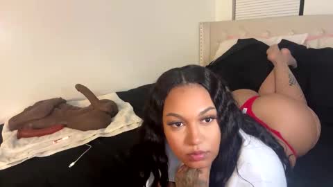 Snapshot of wetcreamerr chatting on 11/02/25, 03:09 SheSquirts online show from 11/02/25, 03:09