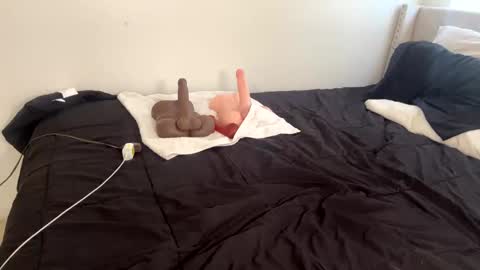 Snapshot of wetcreamerr chatting on 11/13/25, 02:16 SheSquirts online show from 11/13/25, 02:16